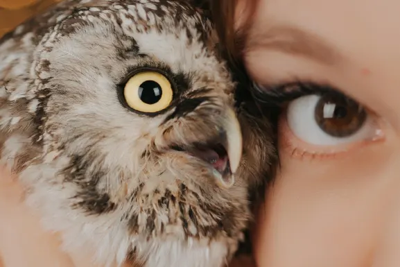 Lottomart Casino Ënnerstëtzung